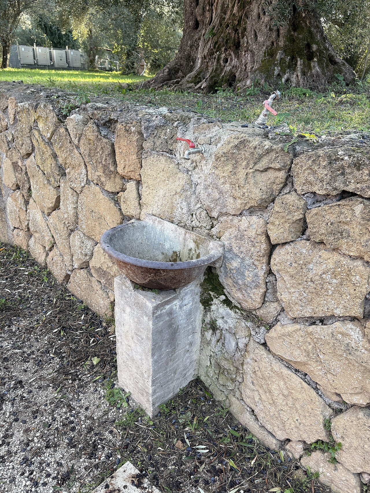 Ein Foto von Hadrian's Villa
