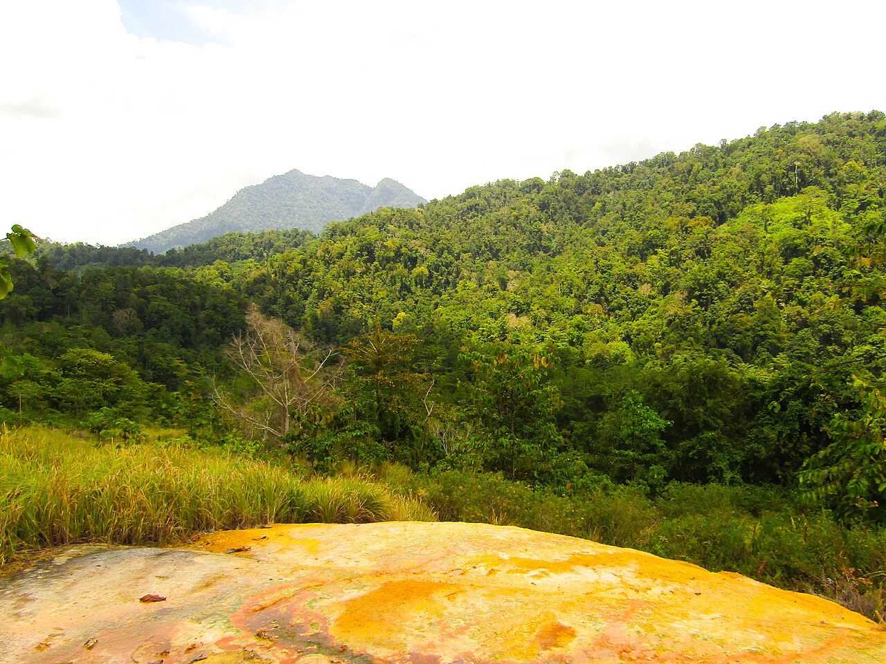 Una fotografia di Bogani Park