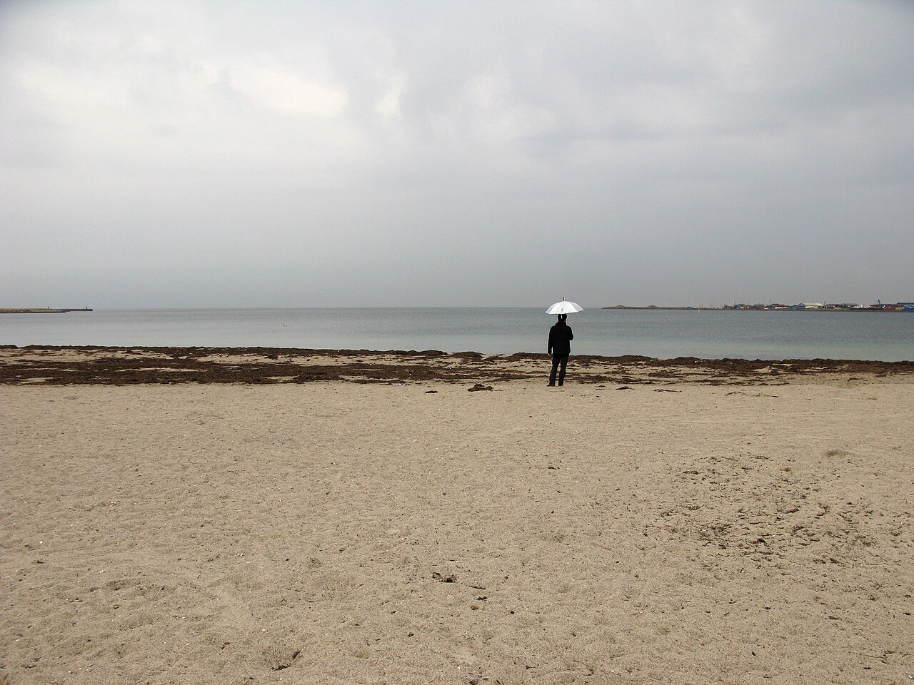 Svanemølle Beach fotoğrafı