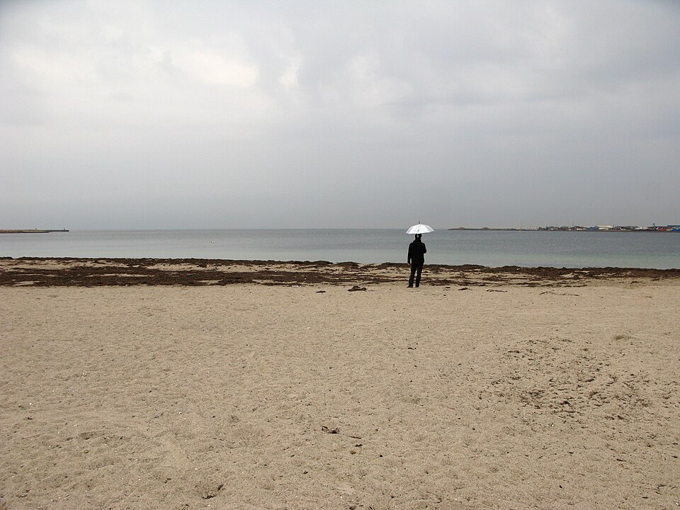 A photograph of Svanemølle Beach