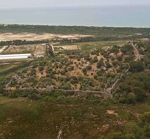 Pydnae