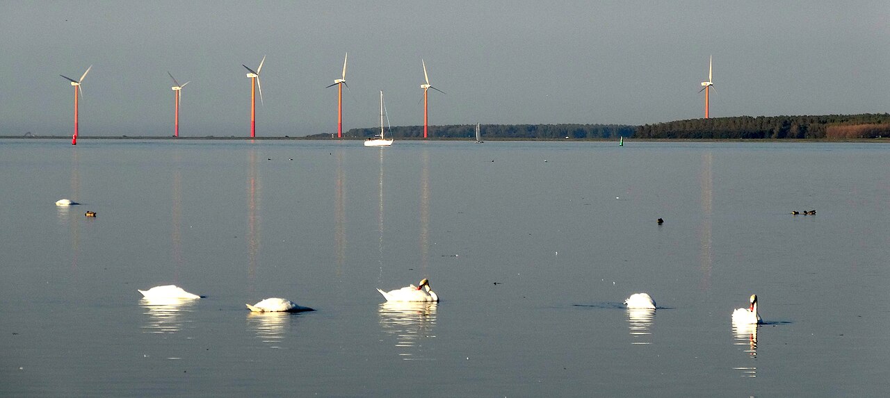 IJmeer fotoğrafı