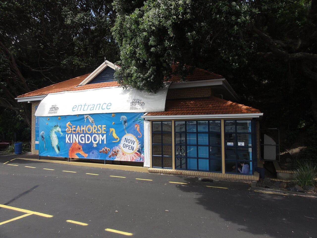 Kelly Tarlton's Sea Life Aquarium