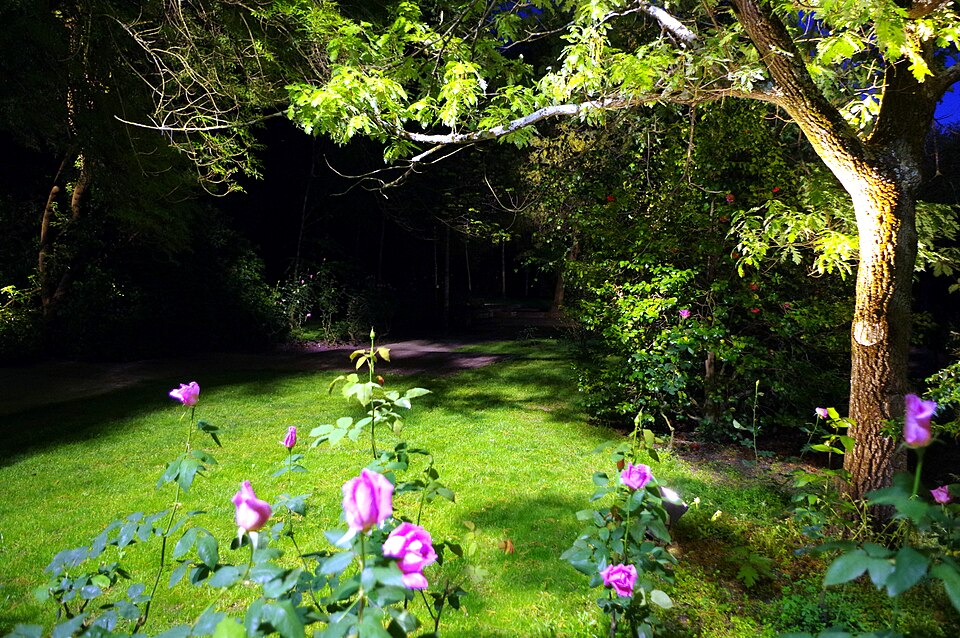 A photograph of Gulbenkian Park