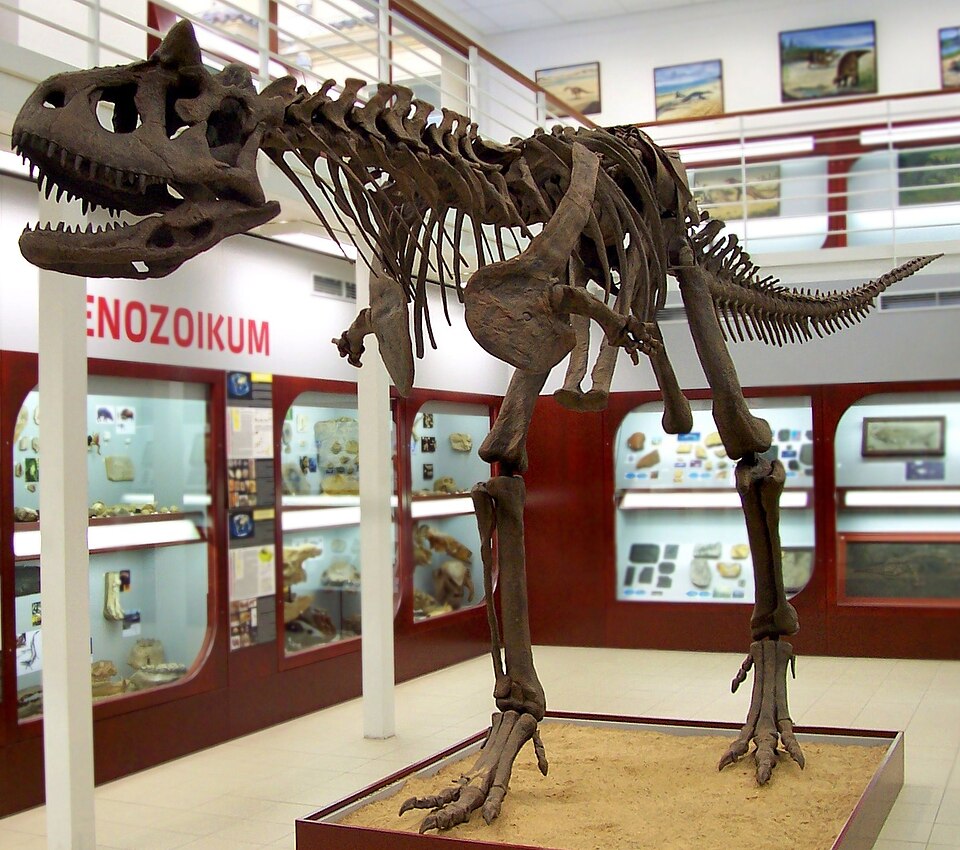 Chlupáč Museum