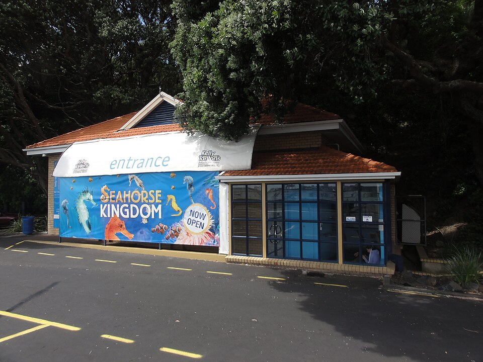 Kelly Tarlton's Sea Life Aquarium