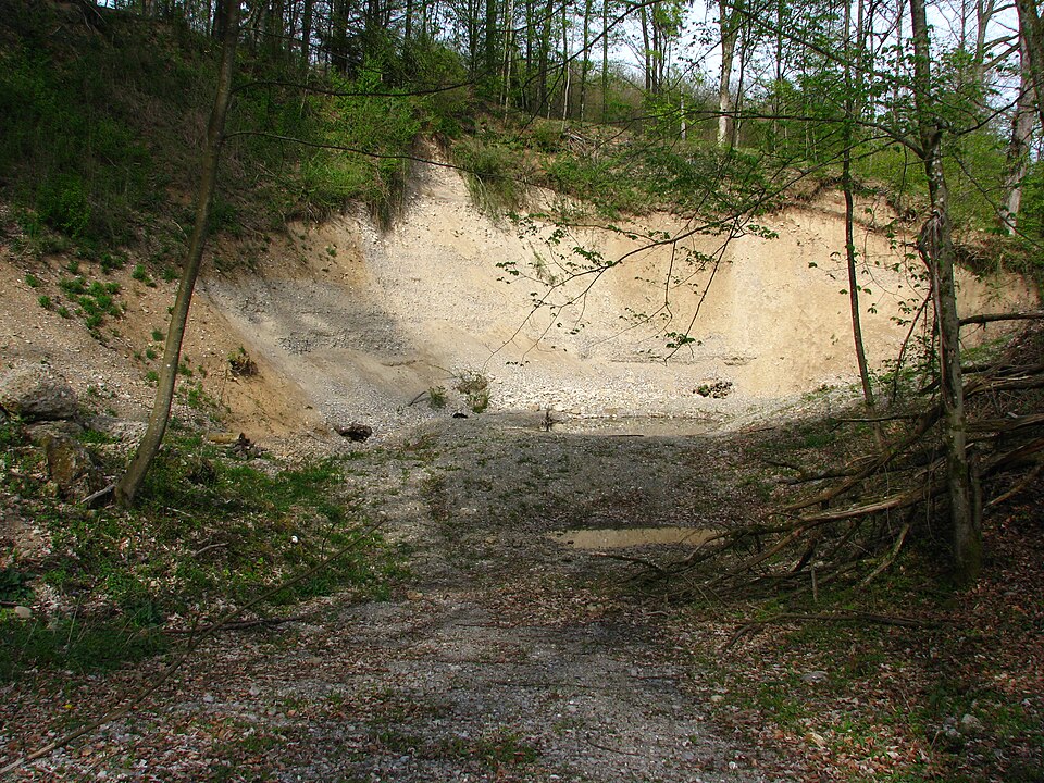 A photograph of Gubrist