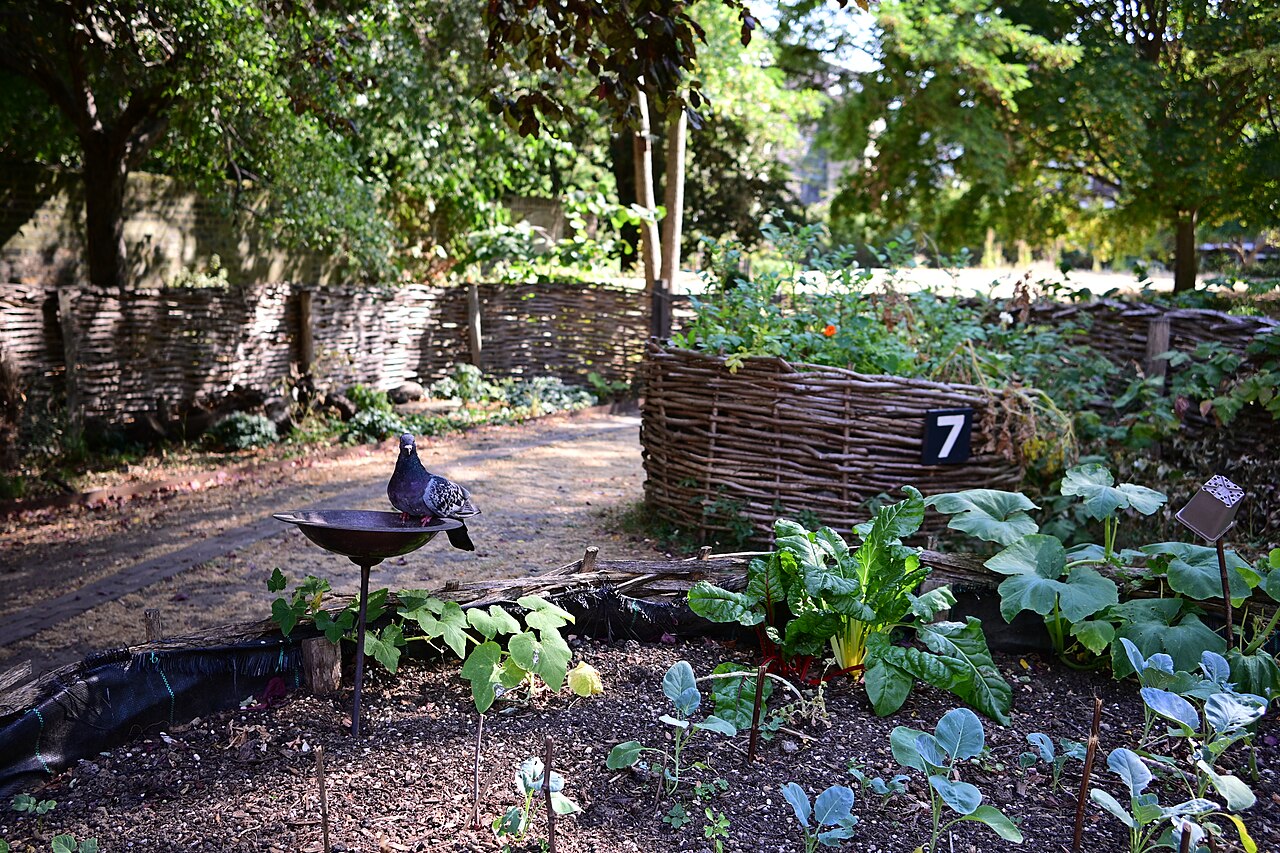 صورة Old Paradise Gardens