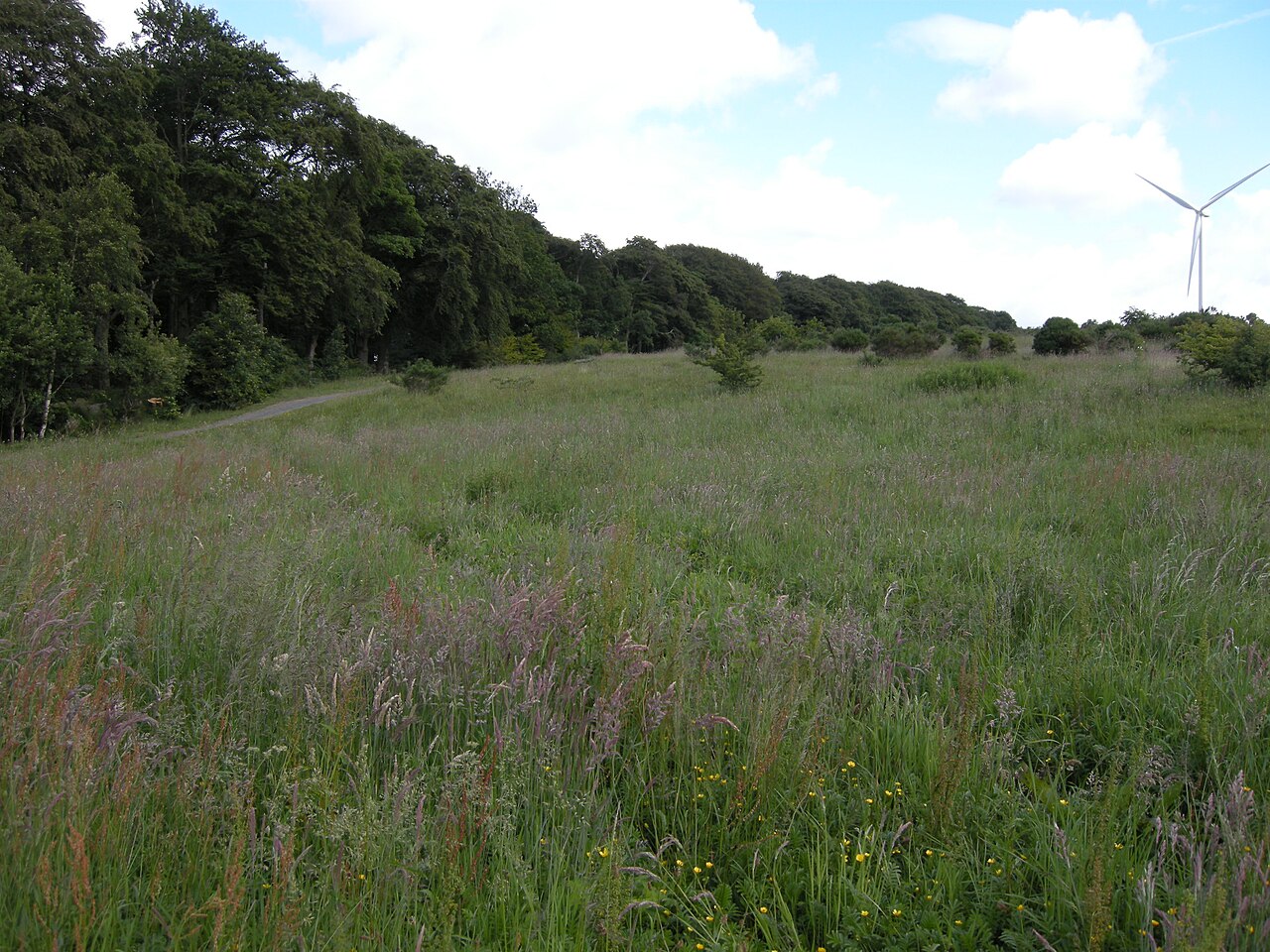 Cathkin Braes の写真