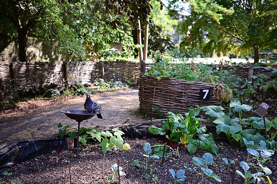 A photograph of Old Paradise Gardens