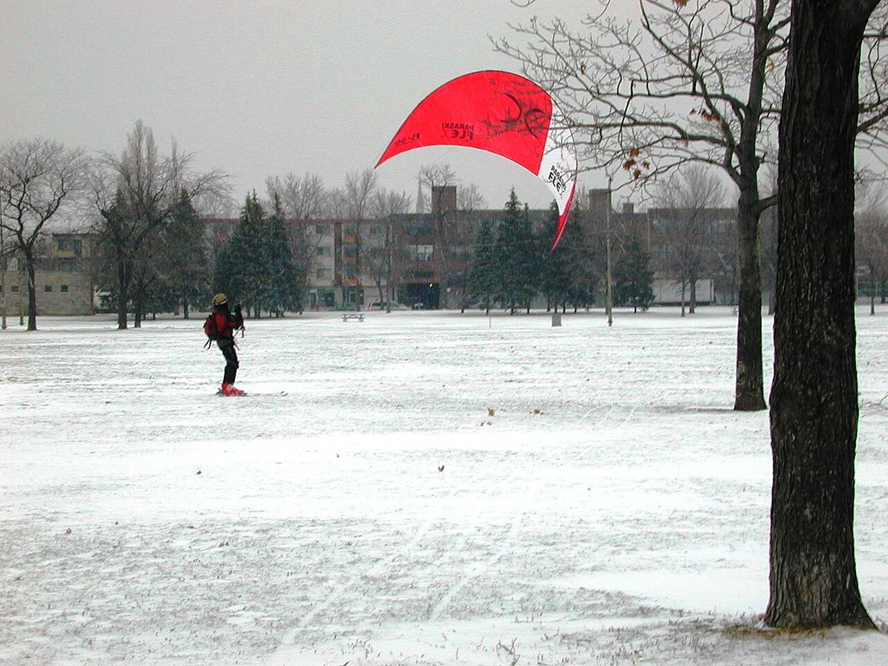 A photograph of Jarry Park