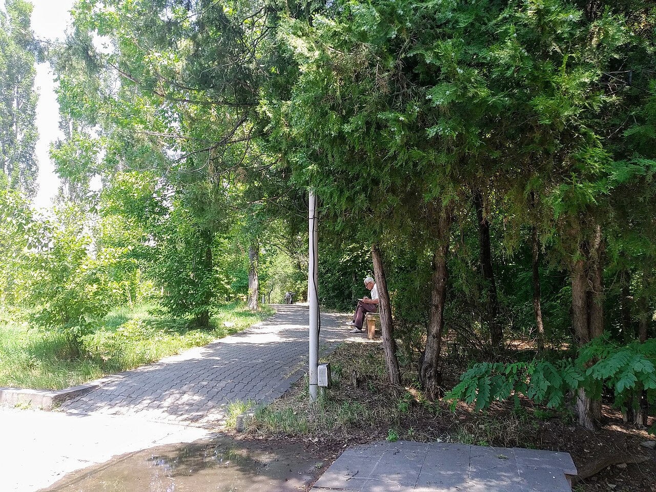 Una fotografia di Nor Arabkir Park