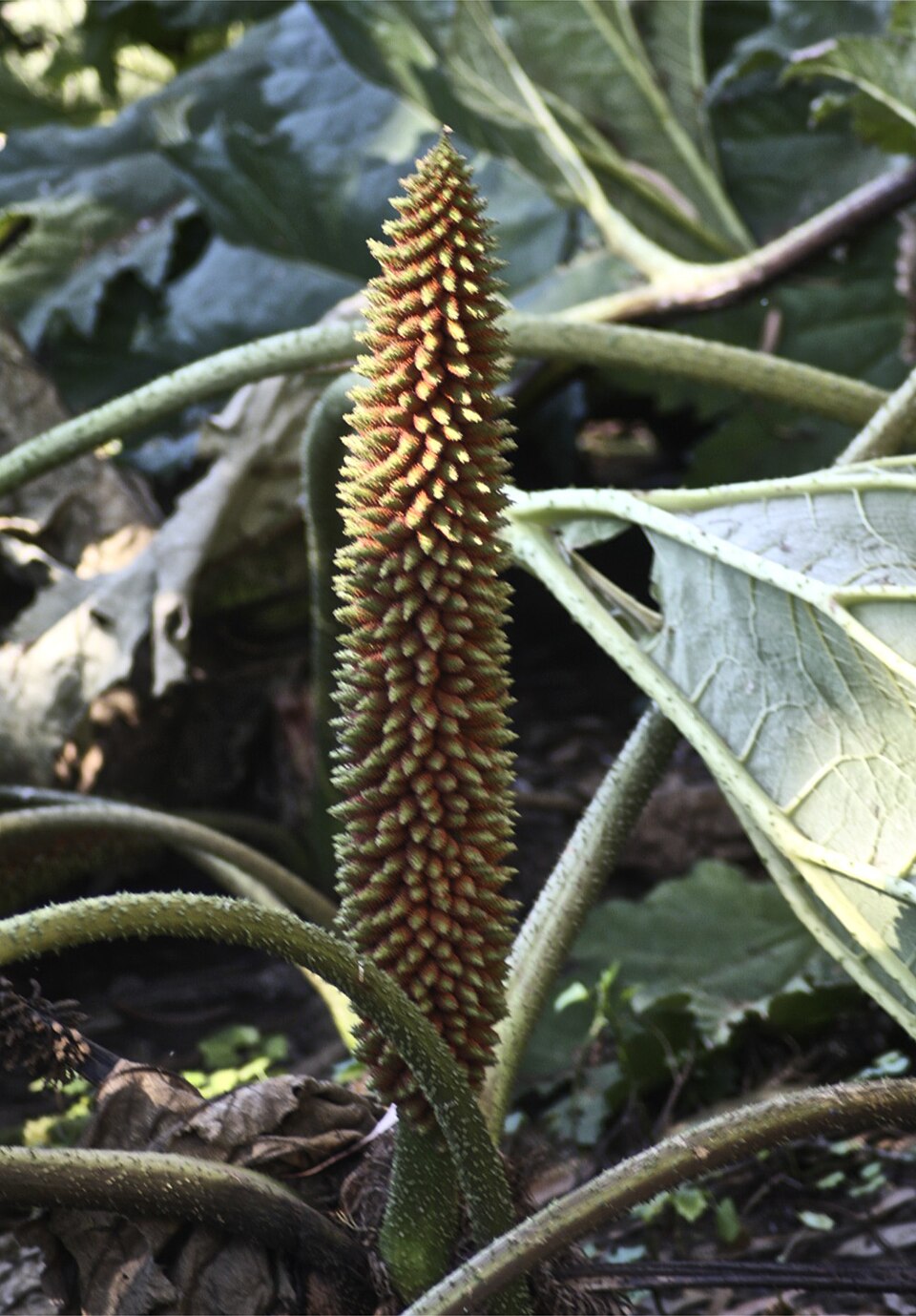 A photograph of San Francisco Zoo