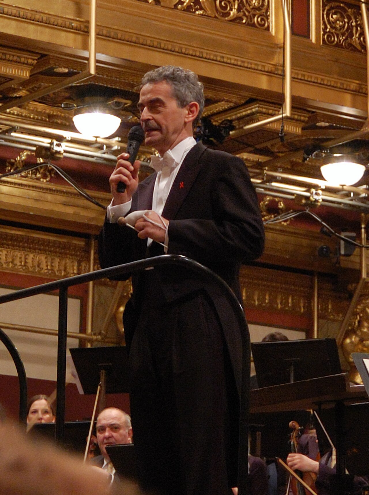 Musikverein の写真