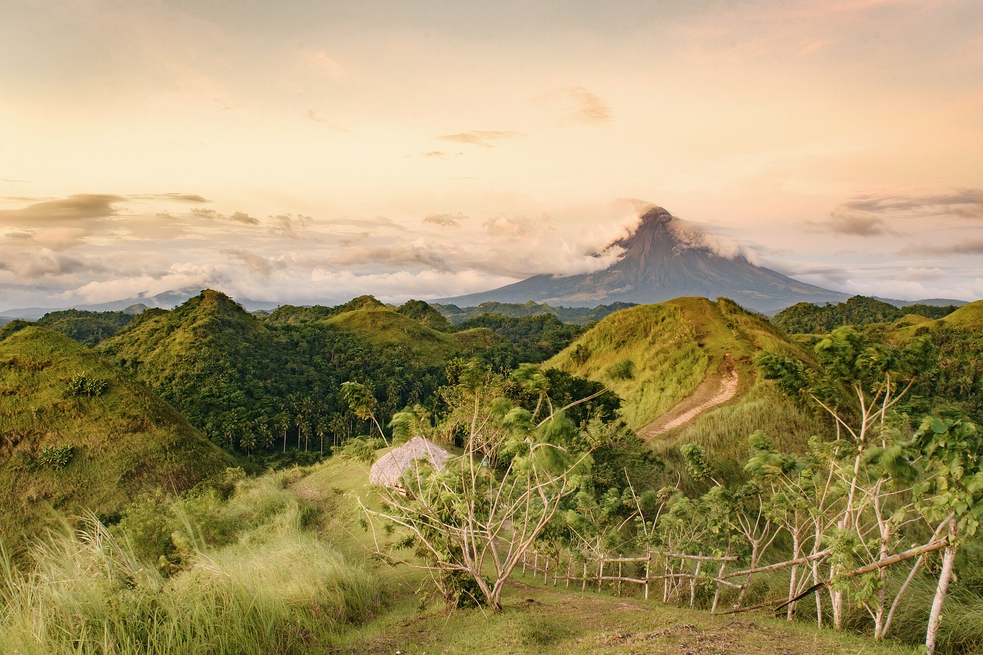 Philippines 的照片