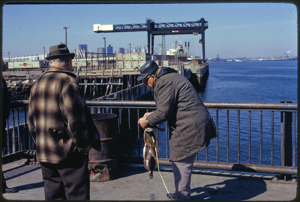 A photograph of Castle Island