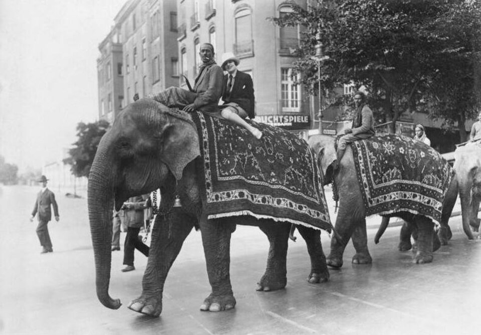 A photograph of Elephant riding