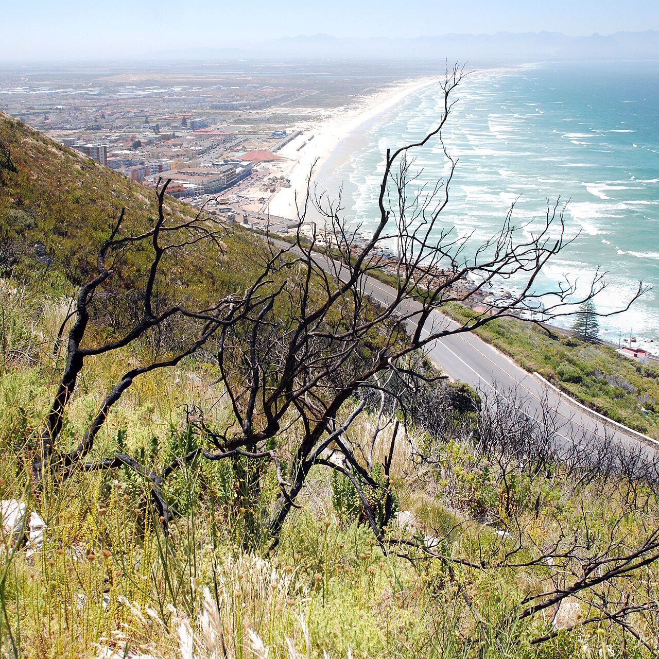 Muizenberg Beach fotoğrafı