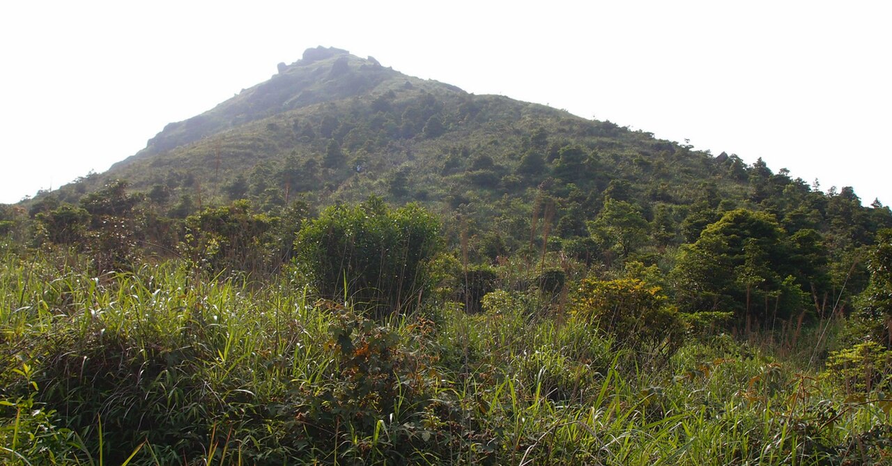صورة Buffalo Hill
