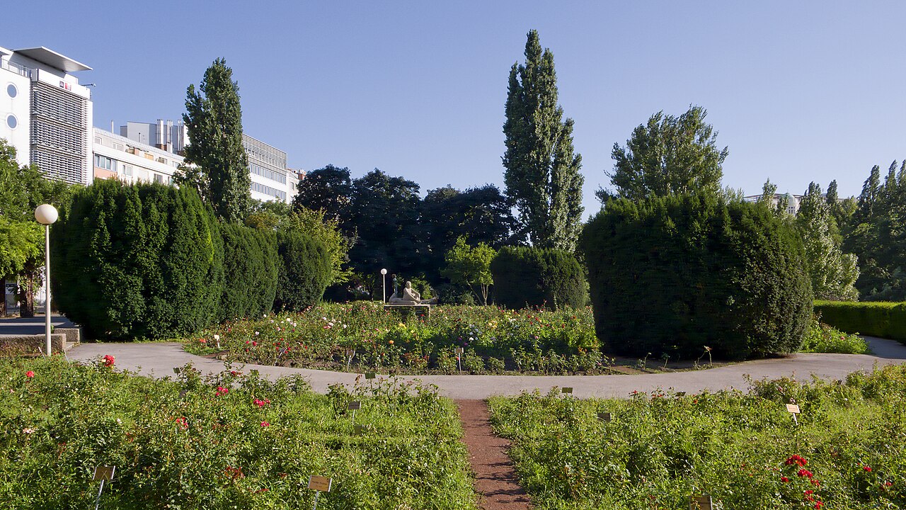 Wettsteinpark fotoğrafı