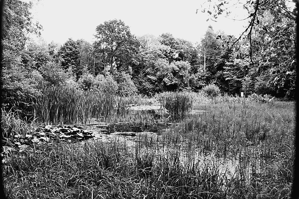 A photograph of Experimental Garden Jean Massart