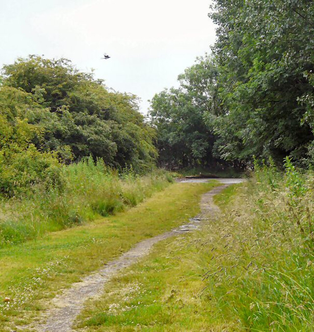 Highfield Country Park の写真