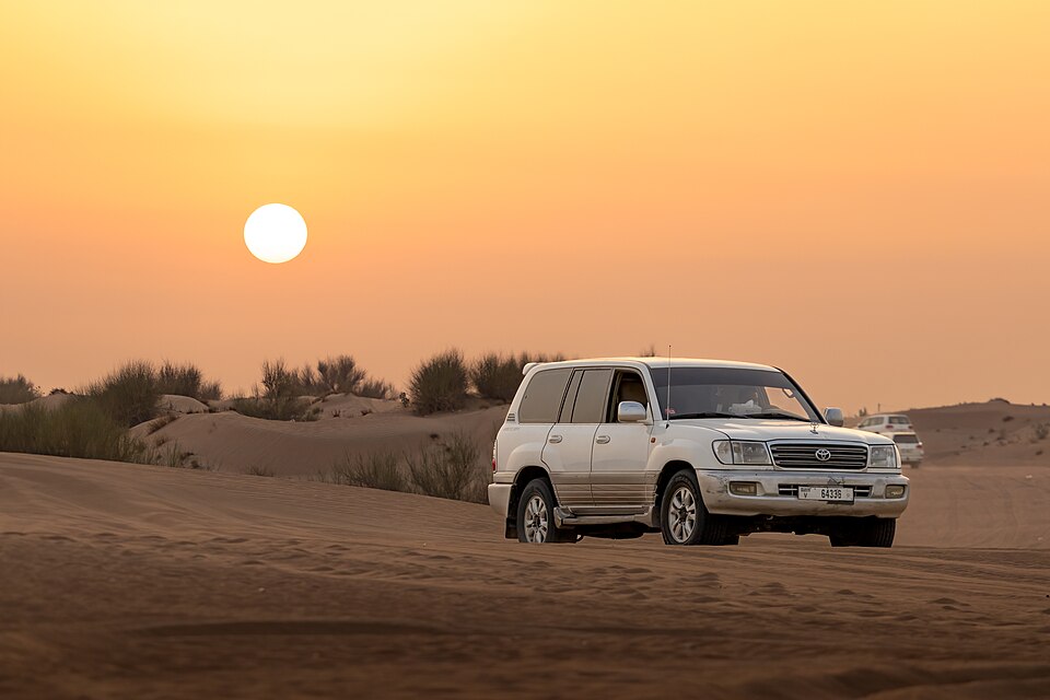 A photograph of Dubai Desert Conservation Reserve
