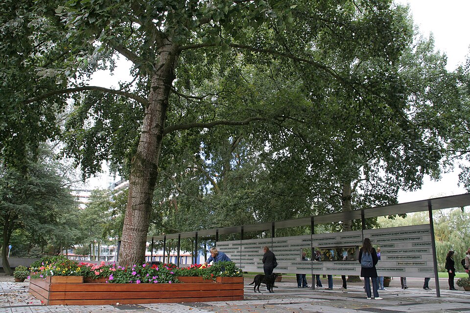 The Tree That Saw It All