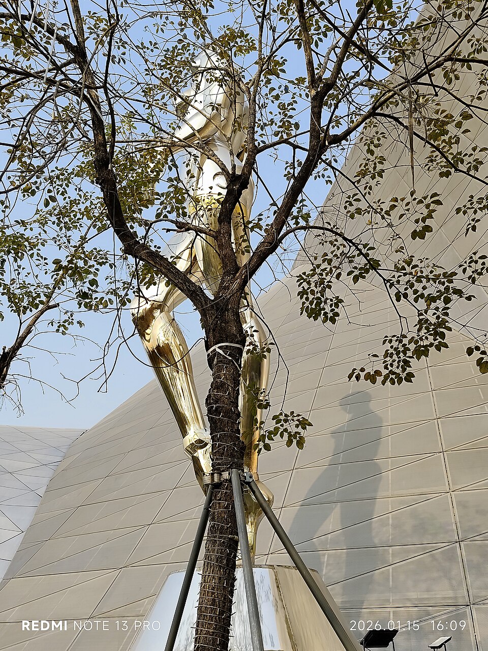 A photograph of Museum of Contemporary Art & Planning Exhibition