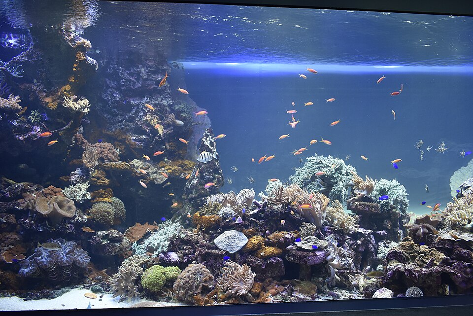 A photograph of Sunshine Aquarium