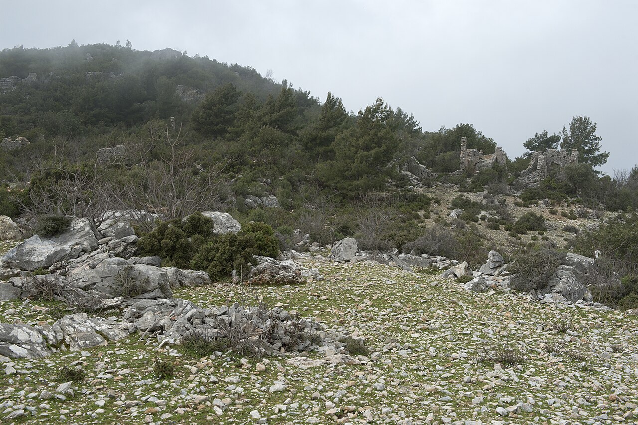 Hamaksya fotoğrafı