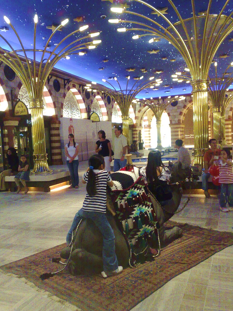 A photograph of Dubai Mall