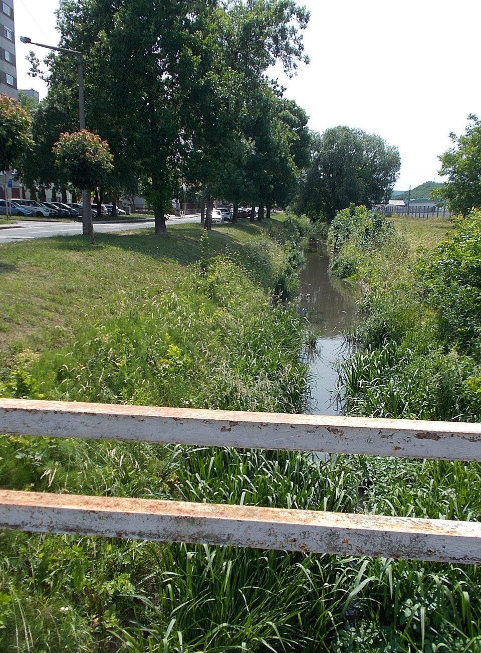 A photograph of Nemzetőr