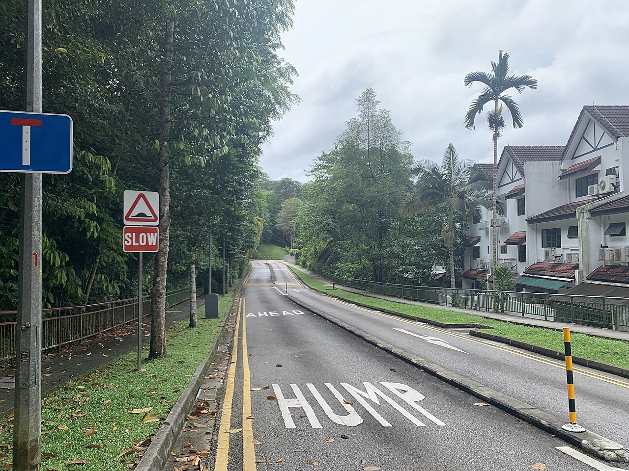 صورة Bukit Timah Nature Reserve