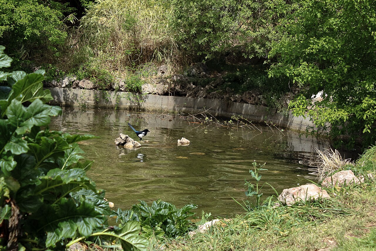 Parque del Oeste fotoğrafı