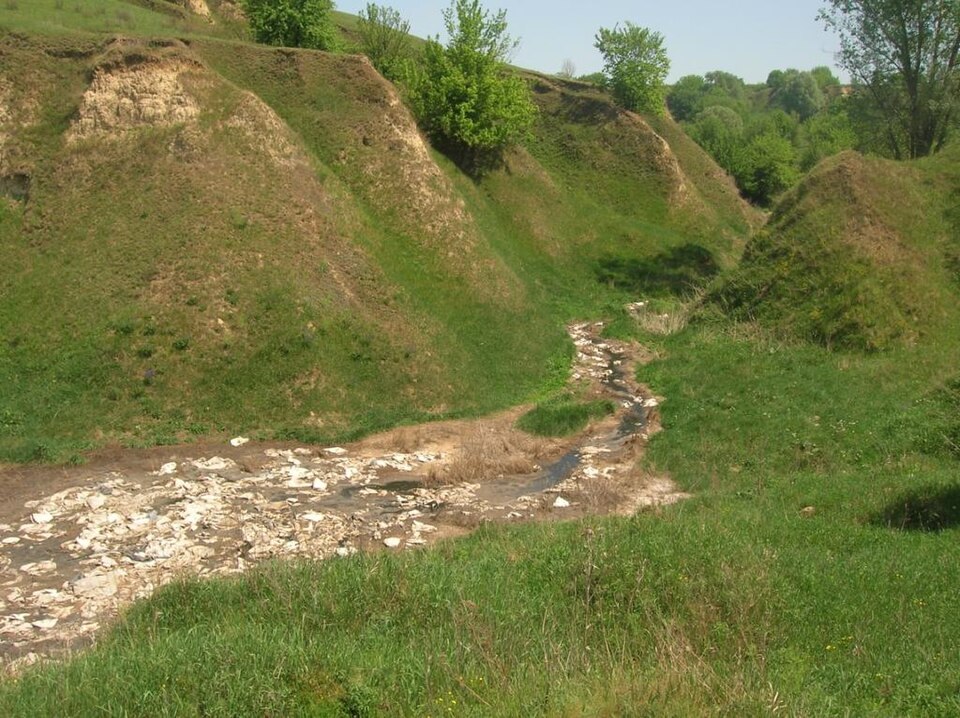 A photograph of Gully Reserve
