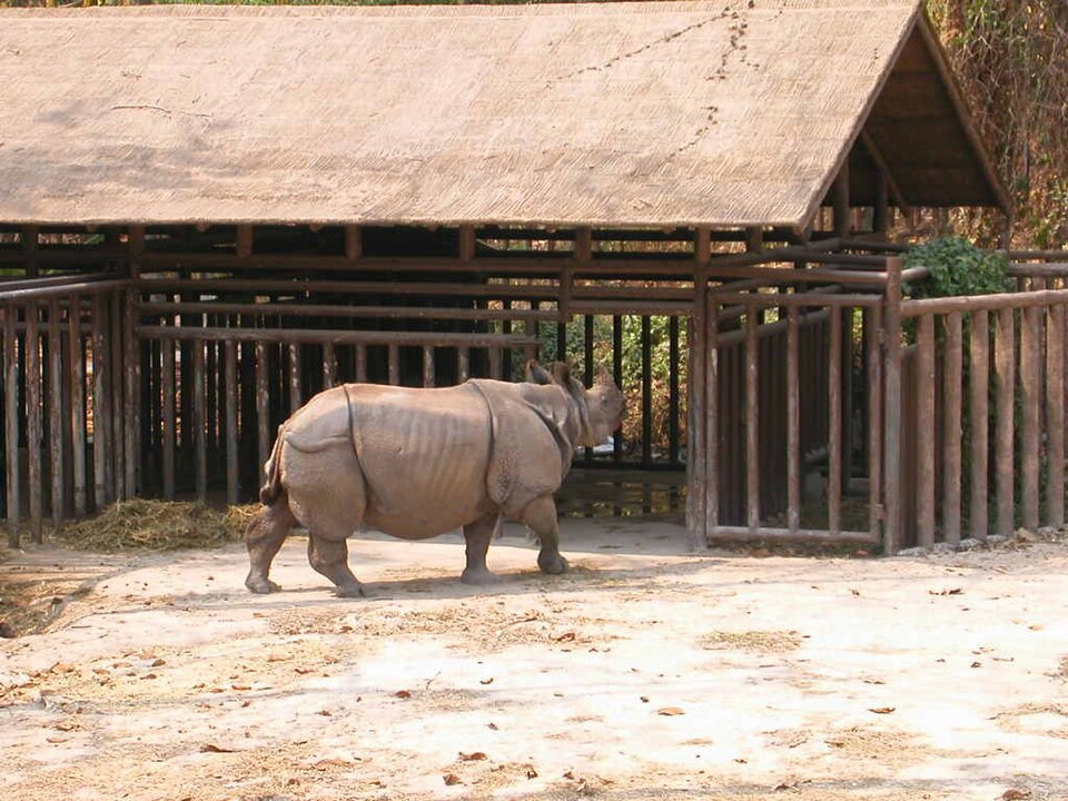 A photograph of Chiang Mai Zoo