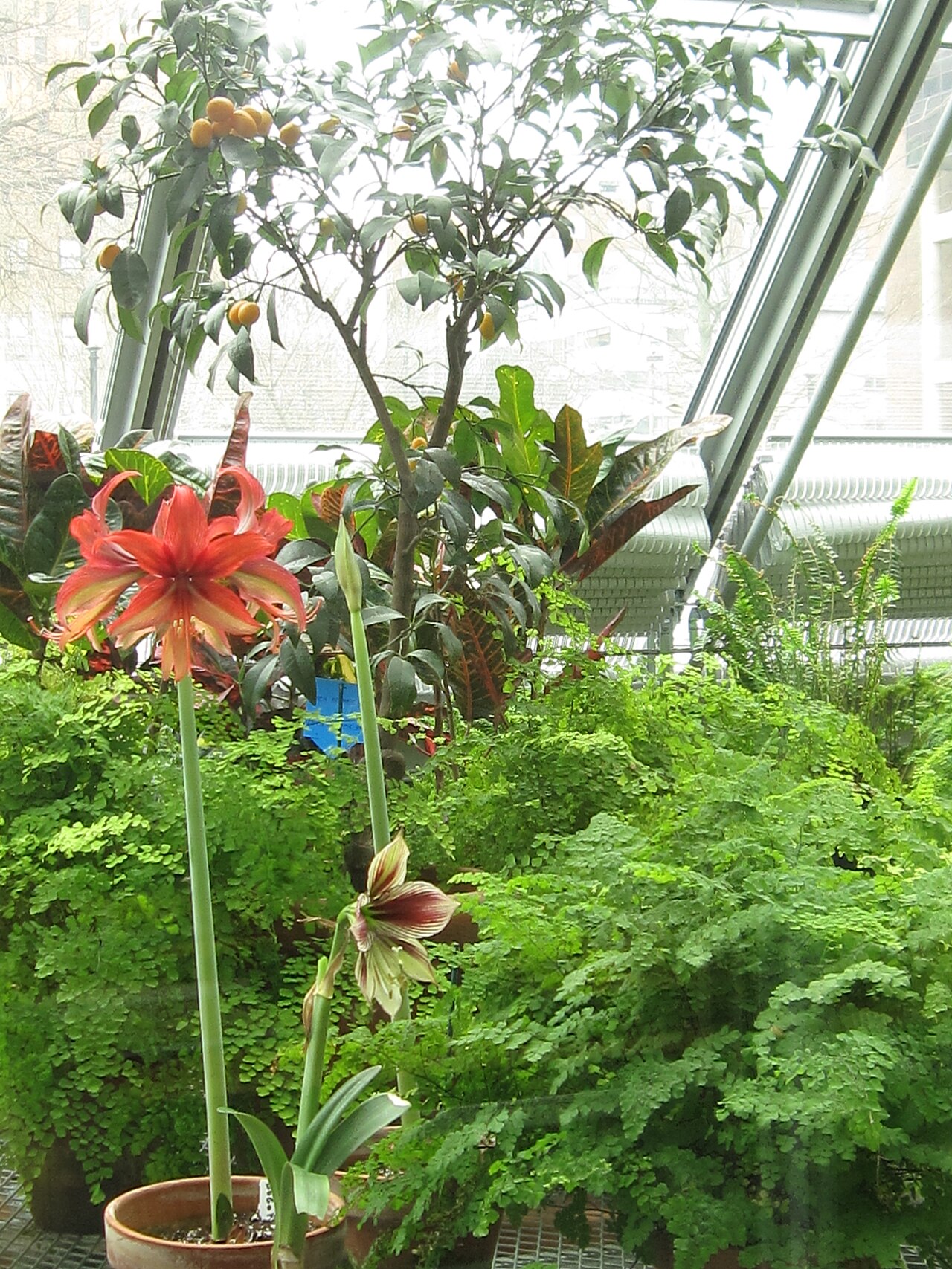 Isabella Stewart Gardner Museum의 사진