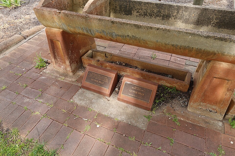 Bills Horse Trough