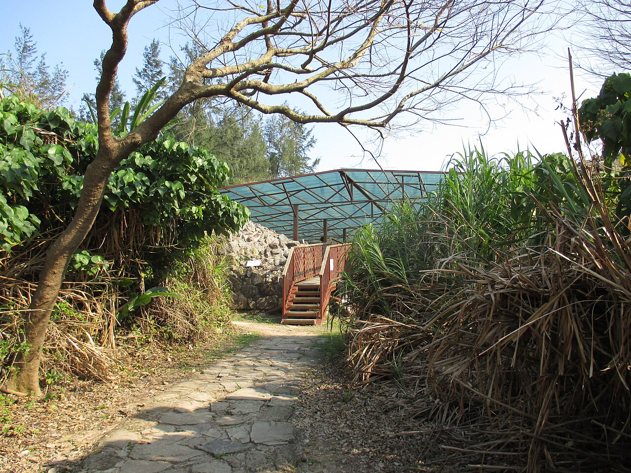 صورة Tung Lung Fort