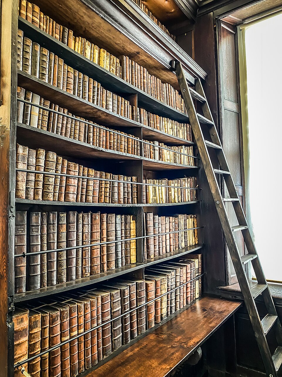 A photograph of Marsh's Library