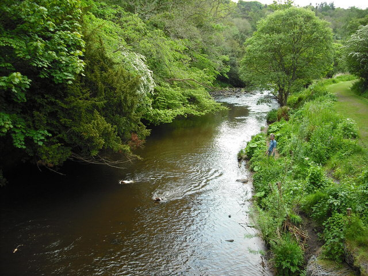 Roslin Glen Country Park の写真