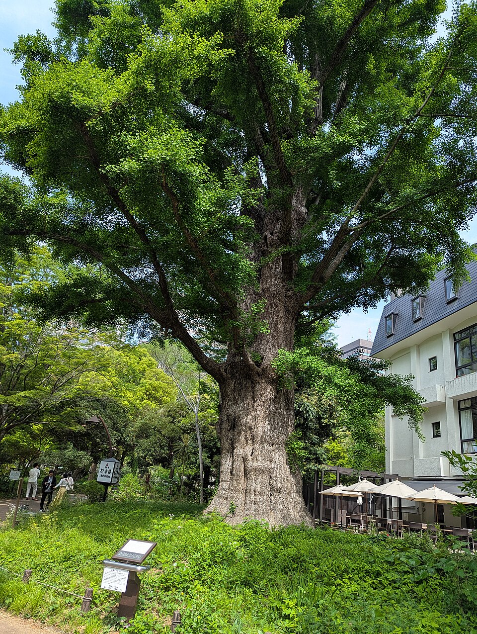 A photograph of Hibiya Park