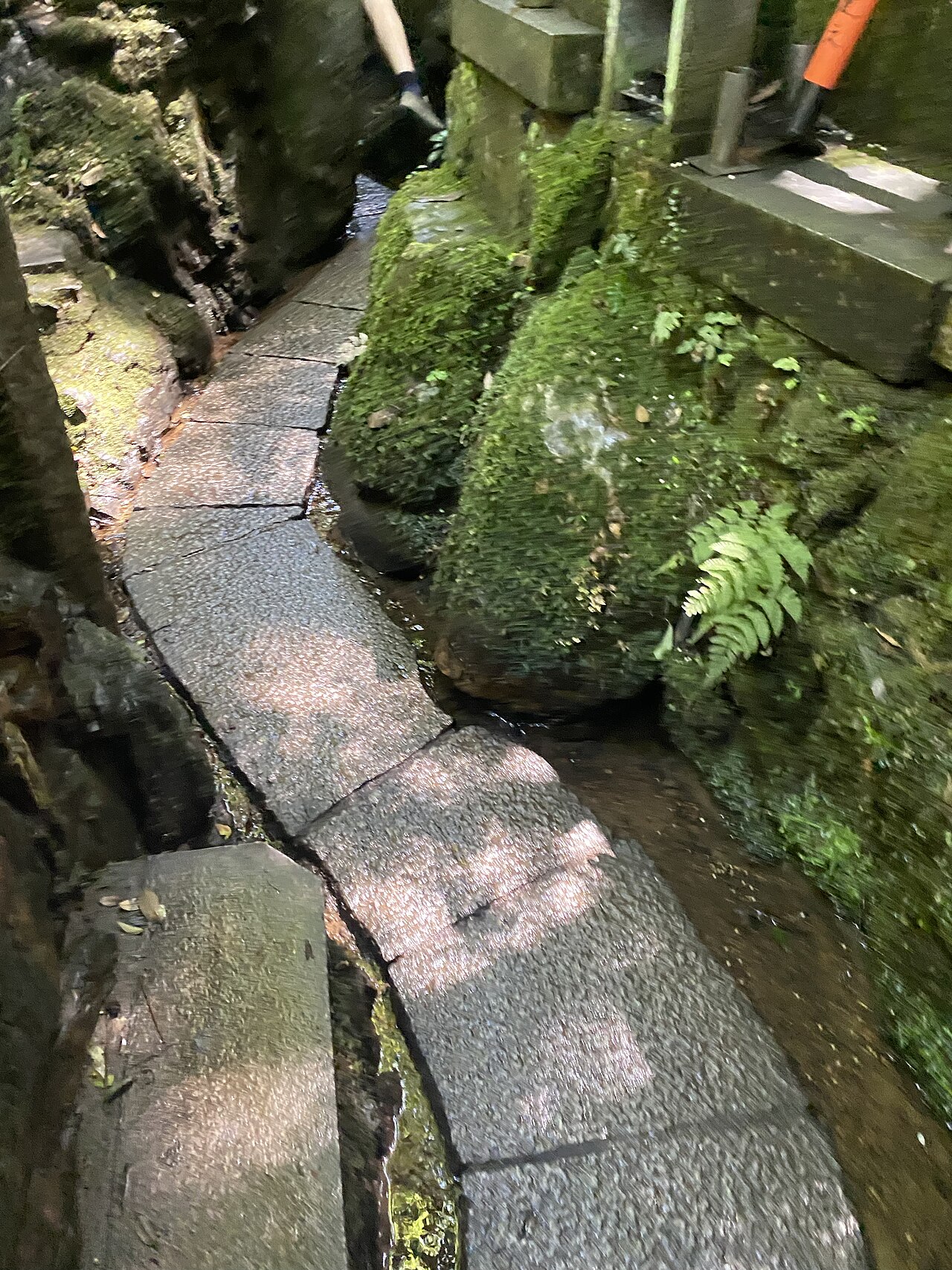 Una fotografia di Fushimi Inari Taisha