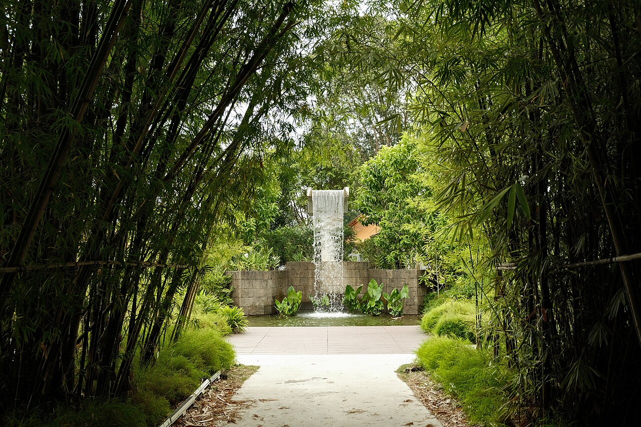 Bamboo Grove