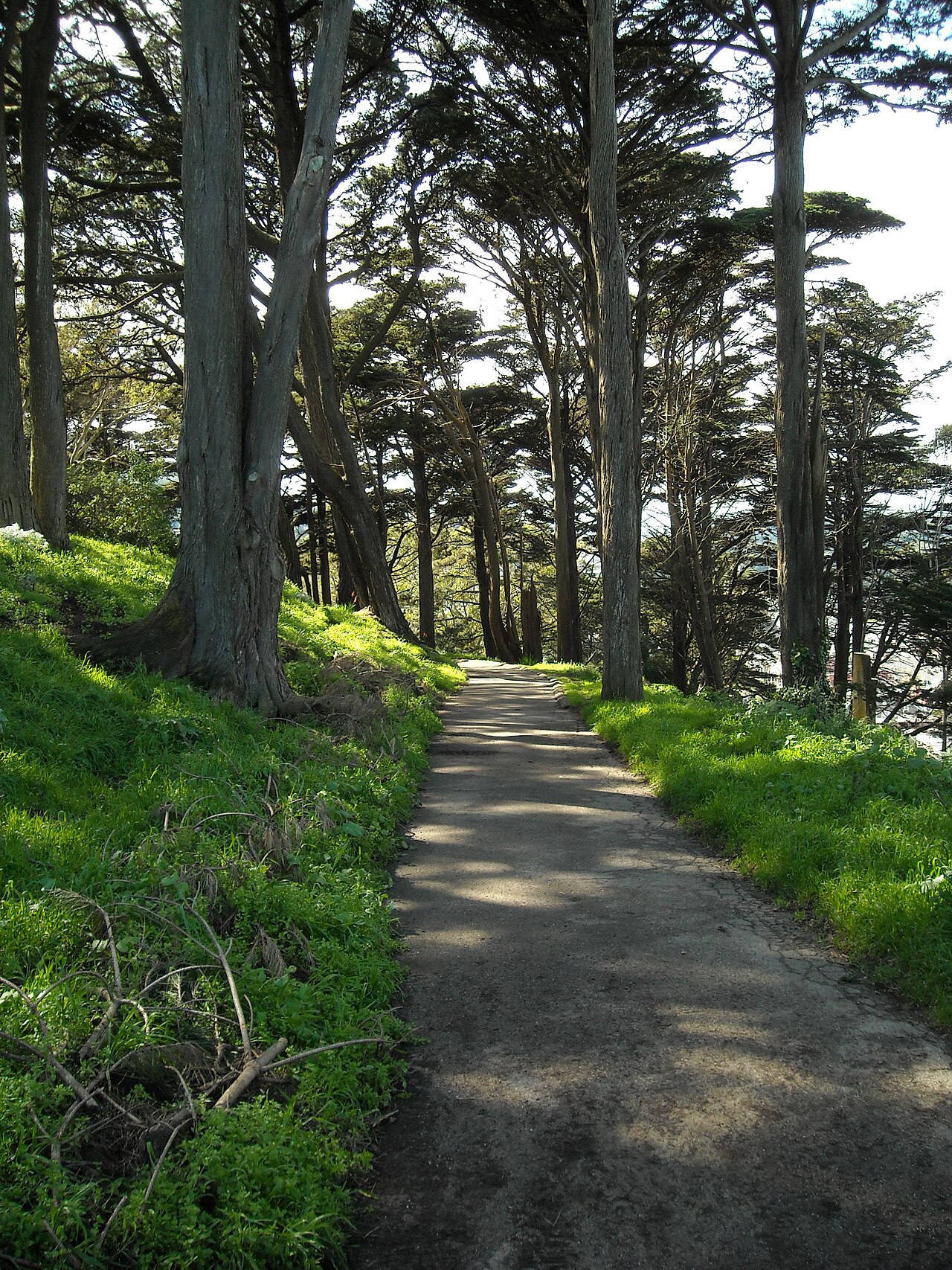 Buena Vista Park의 사진