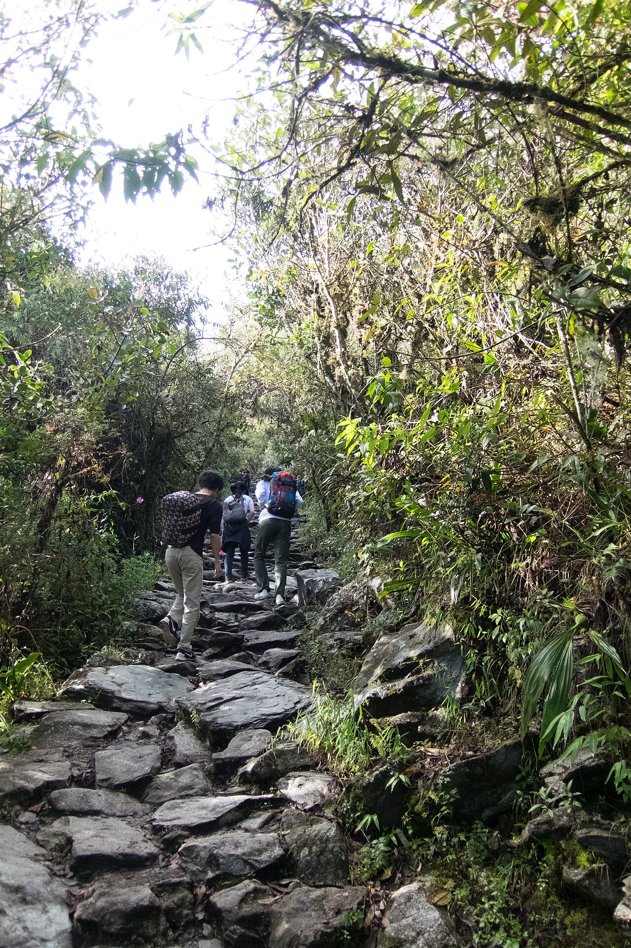 A photograph of Machu Picchu