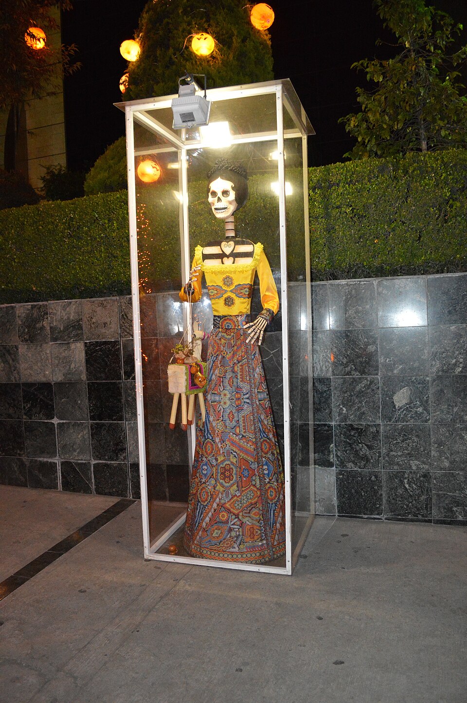A photograph of Polanco