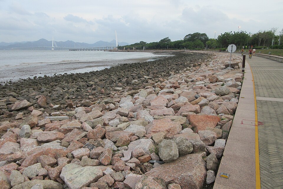 深圳湾公园