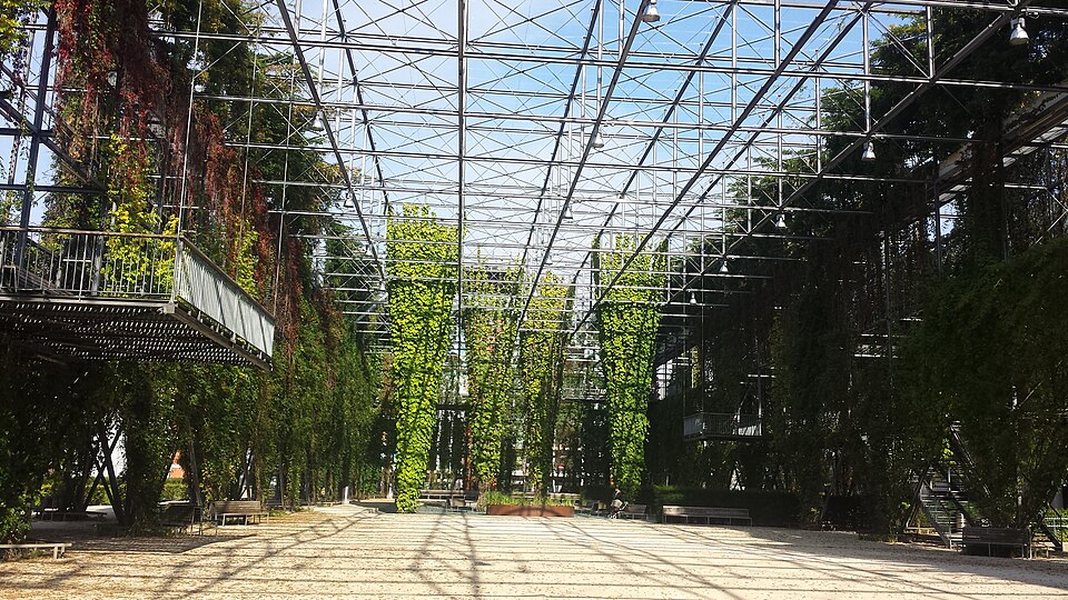 A photograph of MFO-Park